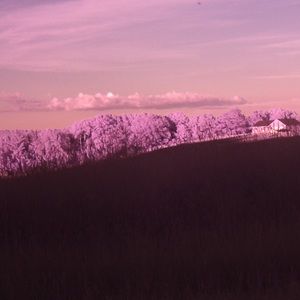 Meet your Posher, Tim